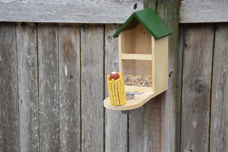 Plastic Bottle Bird Feeder